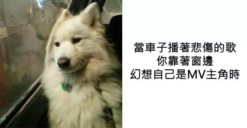 24個「即使你做過也不敢承認」的小習慣