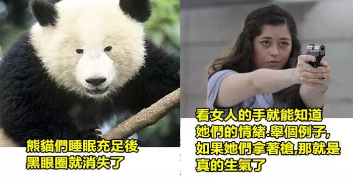 30個超廢 但又有一點道理的幹話冷知識