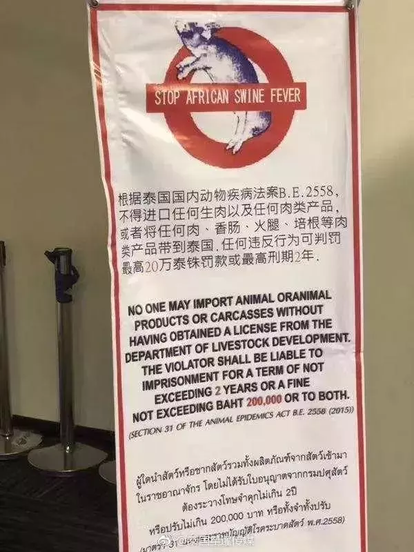 別因大意惹上牢獄之災:禁止豬肉製品入境的國家,最高可判2年刑期!
