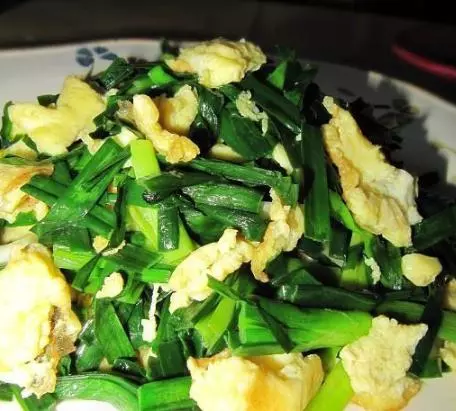 韭菜的15種做法，一塊錢一大把，吃起來比紅燒肉都香
