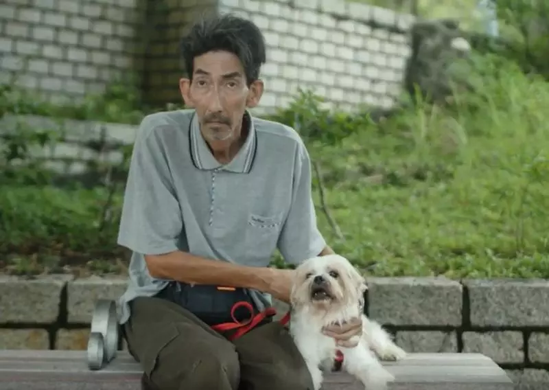 【1 VS 5 !】TVB綠葉在日本被騙硬拍Ham片,5個女服侍他一人… 網友:太夠力了!