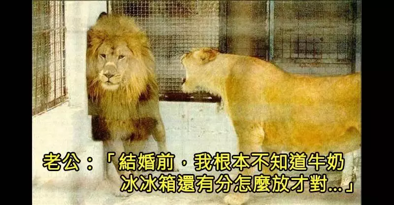 20則證明「婚後人生比八點檔還有趣」的爆笑夫妻生活短文