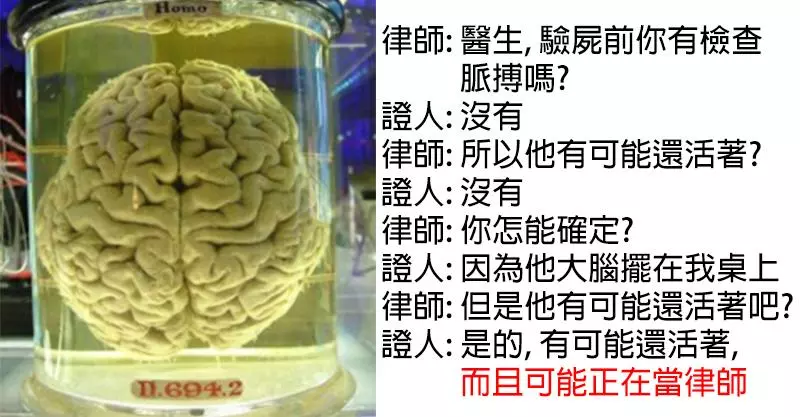 24個開庭時出現的爆笑對話記錄了下來,一起來看看吧!