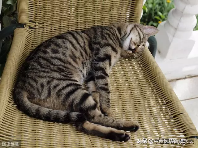 每天堅持這8種生活習慣,讓你長壽不再是夢想