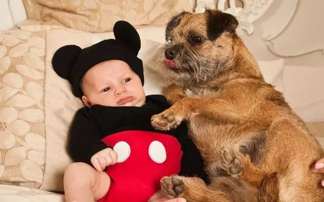 世上有一種愛叫:當寵物狗遇上小Baby