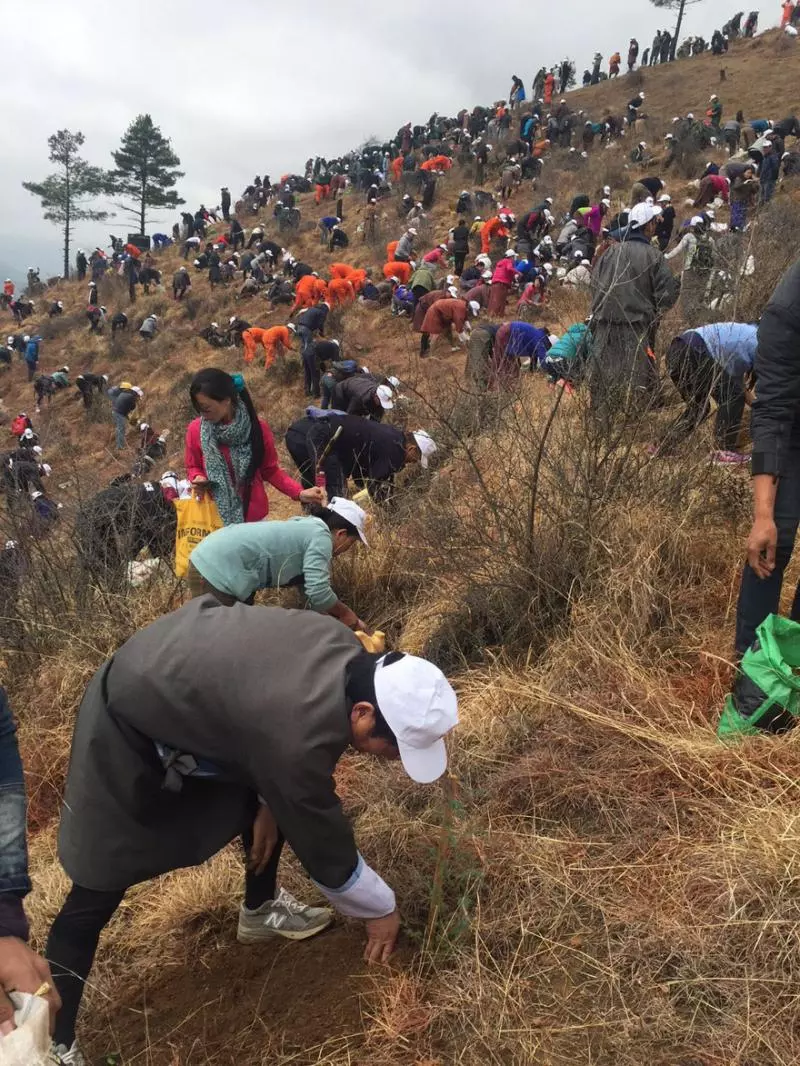 不丹國王為慶祝兒子滿月誕辰把人民叫到山上 他們每人蹲下做的事就是為什麼不丹是最開心的國家!