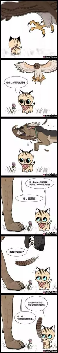 退伍軍犬被收養後,在新家遇見了一隻小貓,從此……