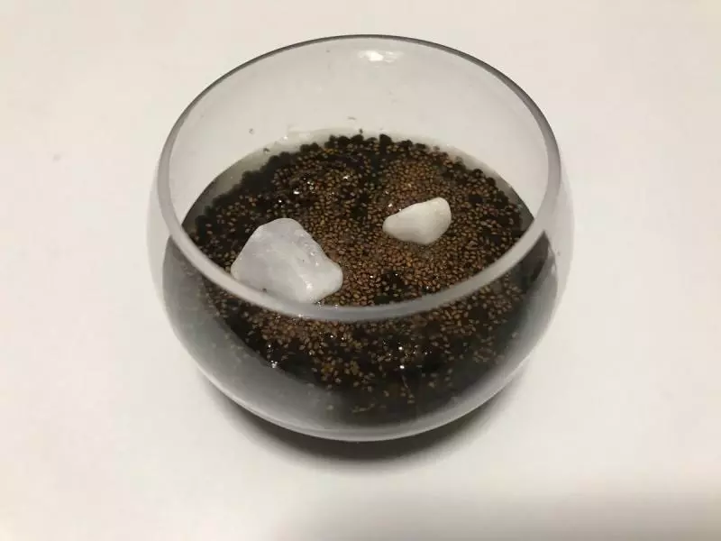 可以用轉蛋種盆栽了! 療癒「水草培育組」1週後變翠綠小森林