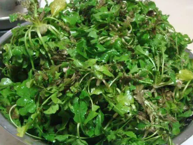 癌細胞是吃出來的?醫生提醒:4種食物吃得越多,癌細胞越高興,尤其第一種