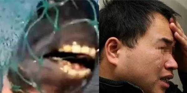 男子河邊抓到一條有「牙齒的魚」,帶回家煮來吃了,當天晚上一家五口全都哽咽了!原來這條魚不是普通的魚。