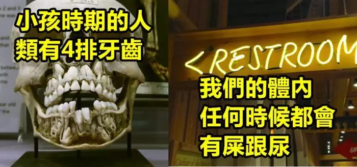 18個看完後 你會更了解自己身體的超勁爆冷知識