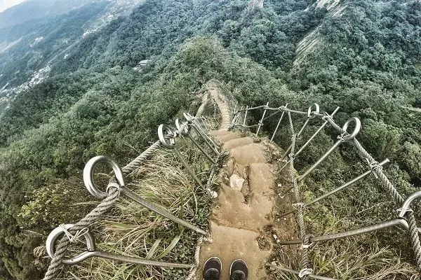 週末假期來場森林浴!全台13大夢幻步道