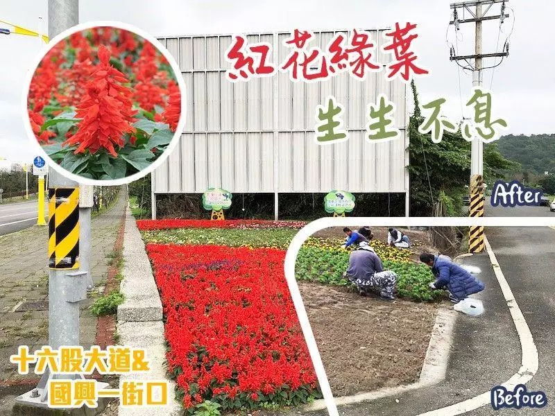 花蓮100處空地變美景 在地人讚:很不一樣