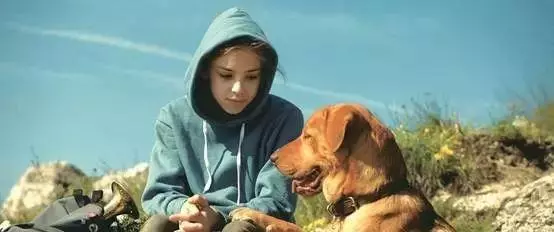 單身狗養狗是一種什麼樣的體驗
