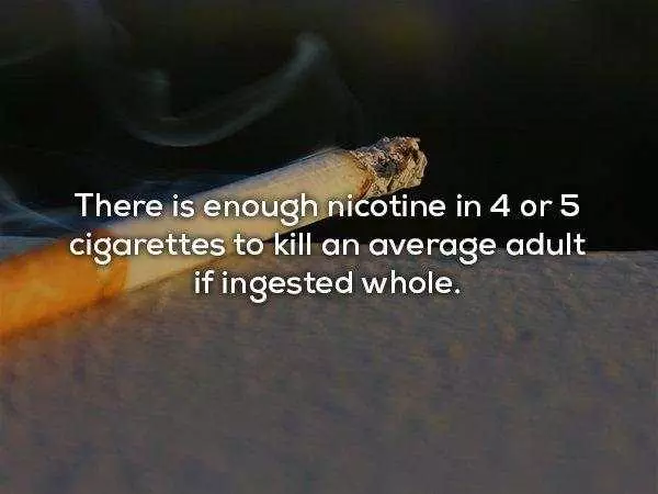 30 個鮮為人知的消息是科學家們對人體進行研究後所下的結論,讓我們來更了解自己的身體吧!