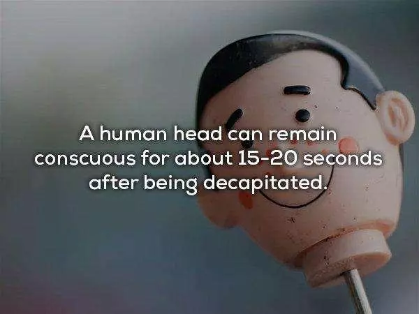 30 個鮮為人知的消息是科學家們對人體進行研究後所下的結論,讓我們來更了解自己的身體吧!