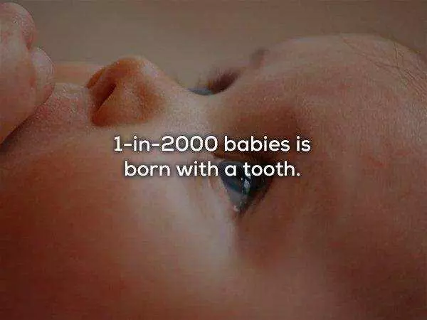 30 個鮮為人知的消息是科學家們對人體進行研究後所下的結論,讓我們來更了解自己的身體吧!