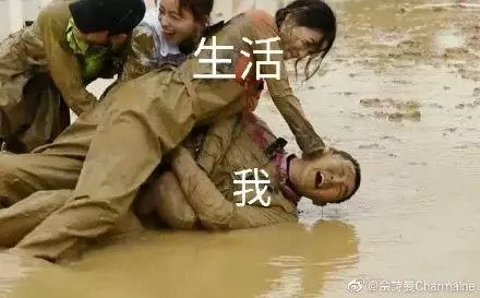 《奔跑吧》上熱搜,佘詩曼玩遊戲超拼,直接把王彥霖的頭按進泥潭