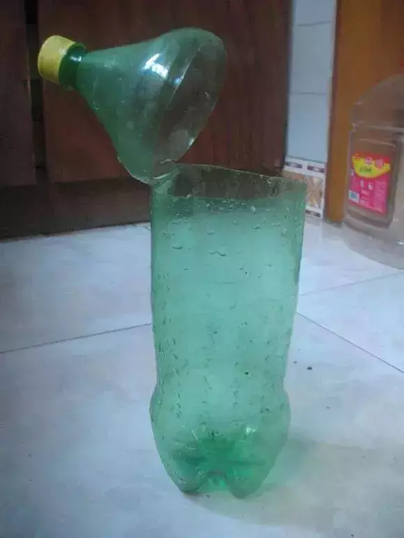 塑料瓶里裝點水,能插20種花,生根不用愁,新手一學就會!