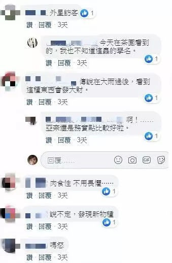 兩千公尺高山種茶 他驚見「外星生物