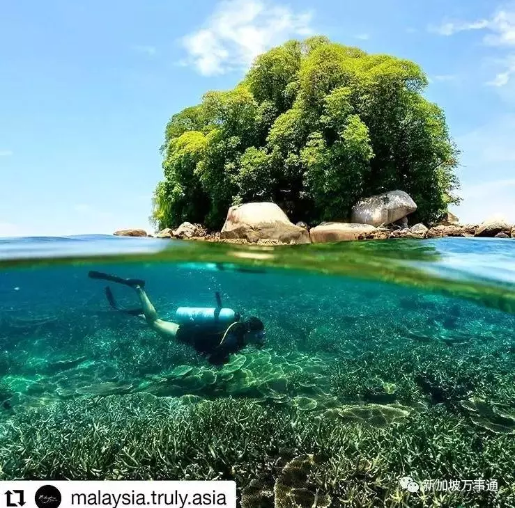 新加坡旁的這座神仙海島,99.9%的人看完後都會立馬動身