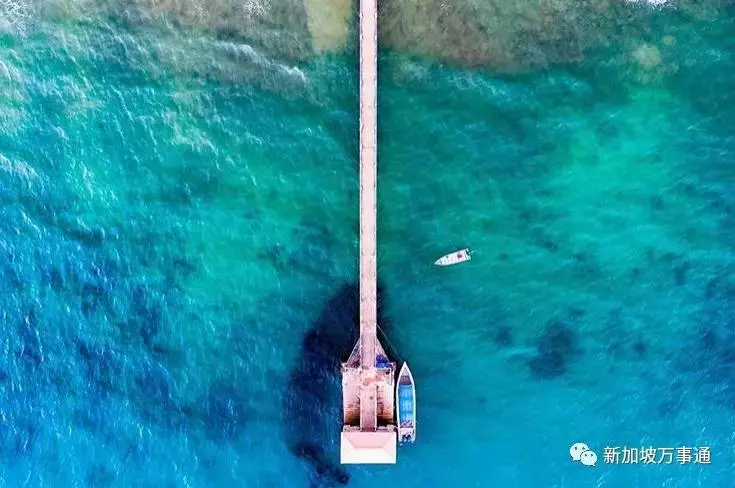 新加坡旁的這座神仙海島,99.9%的人看完後都會立馬動身