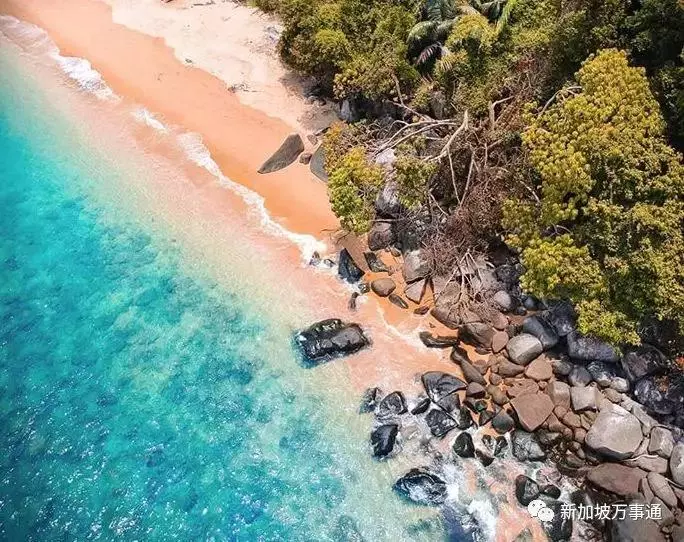新加坡旁的這座神仙海島,99.9%的人看完後都會立馬動身