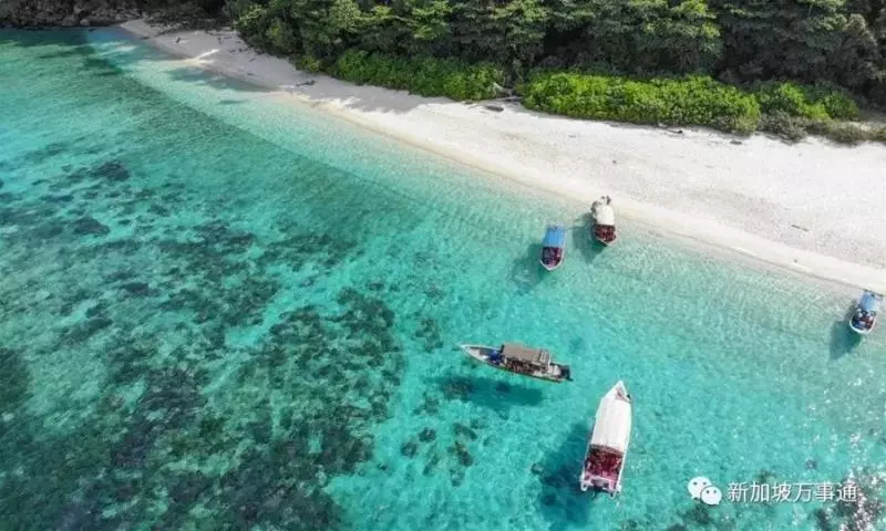 新加坡旁的這座神仙海島,99.9%的人看完後都會立馬動身
