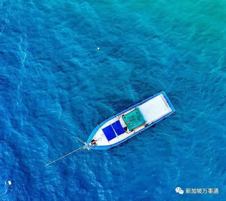 新加坡旁的這座神仙海島,99.9%的人看完後都會立馬動身