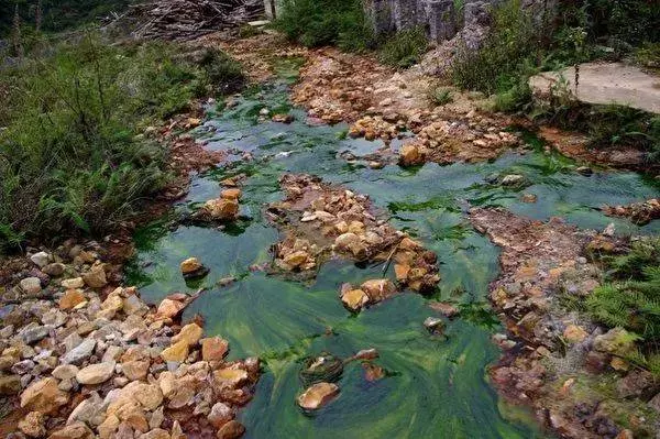 禁收洋垃圾後,全世界都在「圍攻"中國!而新加坡垃圾島竟成熱門旅遊景點?