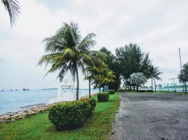 禁收洋垃圾後,全世界都在「圍攻"中國!而新加坡垃圾島竟成熱門旅遊景點?