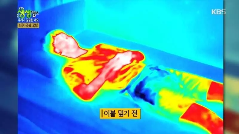 夏天睡覺不蓋被子?「熱像儀實測畫面」打破你的迷思!