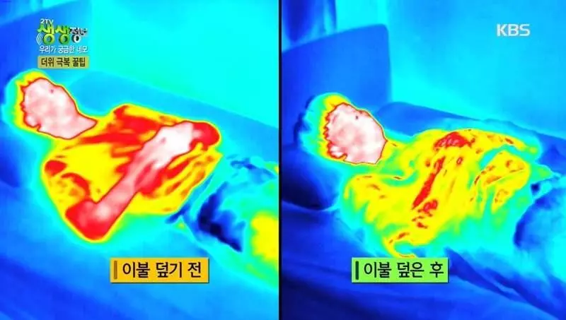 夏天睡覺不蓋被子?「熱像儀實測畫面」打破你的迷思!