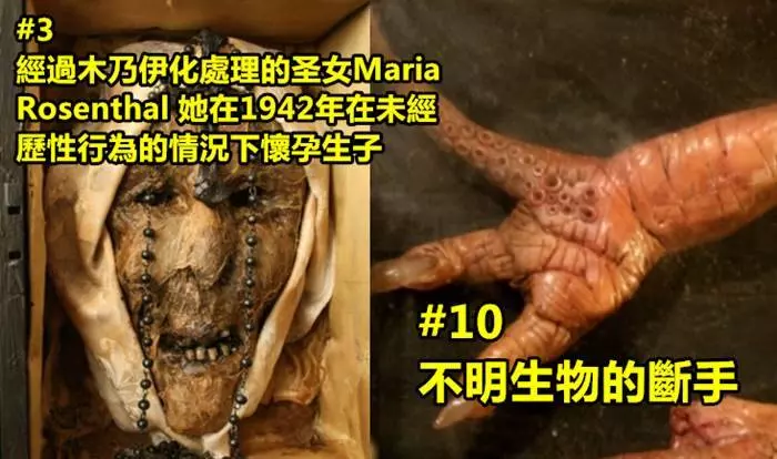 他們在這間英國百年孤兒院地窖挖出這些超詭異的東西...有「吸血鬼、狼人、妖精標本」還有最後一樣把大家都嚇壞了...