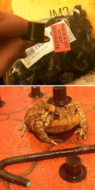 20個喝醉後網上購物時所買到的超扯物品!看完這些照片你就會在記得喝酒後不可以網上購物!