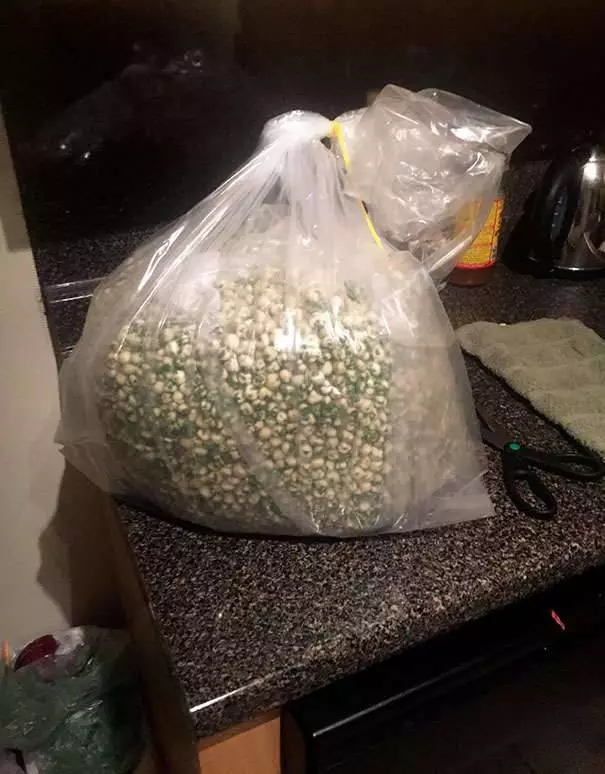 20個喝醉後網上購物時所買到的超扯物品!看完這些照片你就會在記得喝酒後不可以網上購物!