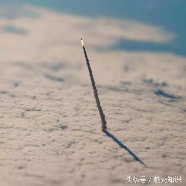 10張讓人驚奇不已的影像,看看用我們手掌印養出來的細菌