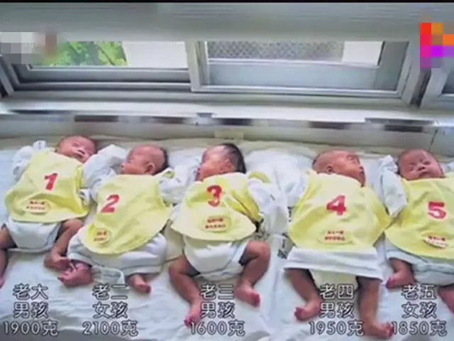 爸爸姓林,為五胞胎取名發愁,奶奶靈光一閃,取的名字全家稱絕了