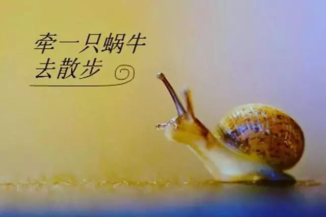 養孩子就像牽著蝸牛去散步(紮心美文,分享給焦慮的父母)
