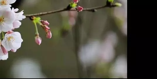 千萬夫妻聊天記錄曝光:婚姻破裂的真正原因,從來不是第三者
