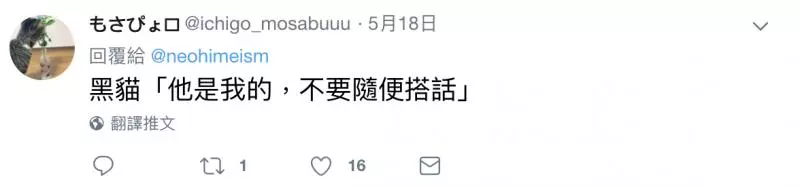 敢搭訕我老婆?「總裁黑貓」肉身護妻 網瞬暈:爆表的男友力❤