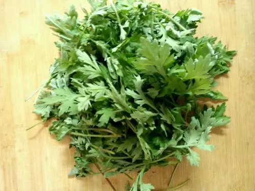 中醫養生:小滿前後找艾草,全家健康疾病少!