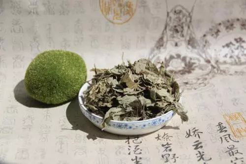 中醫養生:小滿前後找艾草,全家健康疾病少!