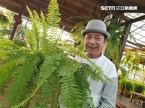 71歲黃西田「負債5千萬」嫩妻甘願一起熬 挺4月孕肚「狂接工作」:我好怕離開他...