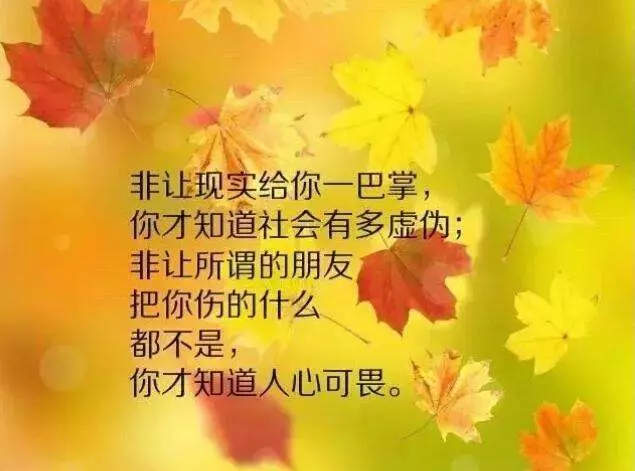 不敢倒下,因為身後有孩子; 不敢逃避,因為前面有父母。