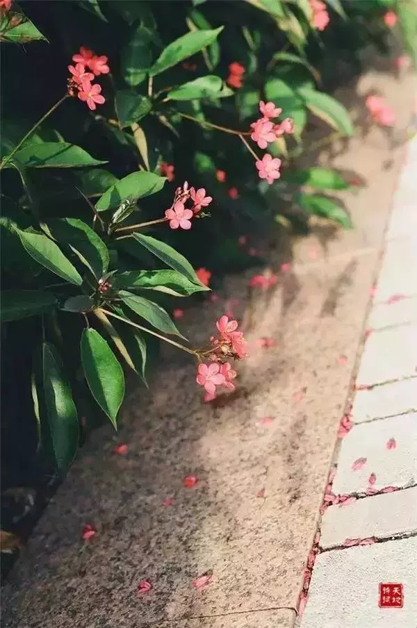 真正對你好的人,經得住時間的考驗