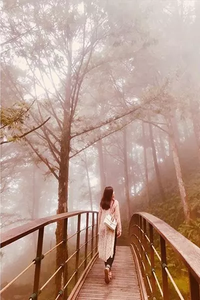 仙氣爆棚絕美幻境!漫步全球最美森林鐵道