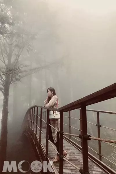 仙氣爆棚絕美幻境!漫步全球最美森林鐵道
