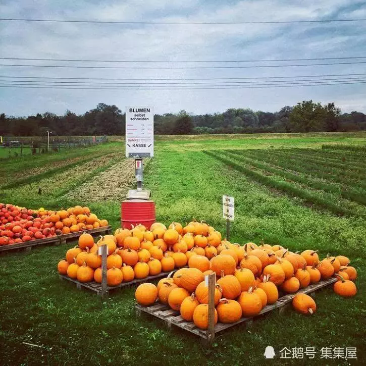13個奇特的社會行為實驗 揭露了諸多人類的不為人知的面貌
