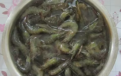 蝦買多了怎麼辦?教你1招,這樣保存蝦多久「蝦頭再也不會變黑」,別再直接放冰箱了!